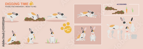 Cute black and white rabbit, bunny eating with accessories ready for animation vector, collection of multiple poses and positions. Bunny eating carrots and digging 