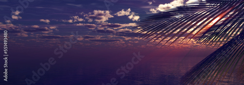 sunset sea palm landscape illustration