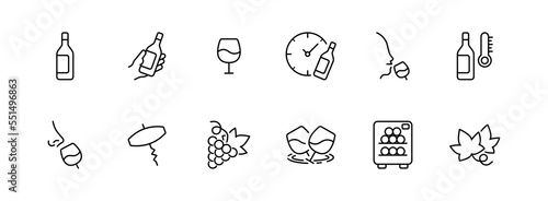 Drink wine set icon. Vault, cellar, grapes, temperature, drink, alcohol, thermometer, cheese, red, white, storage conditions. Relax concept. Vector black line icon on a white background