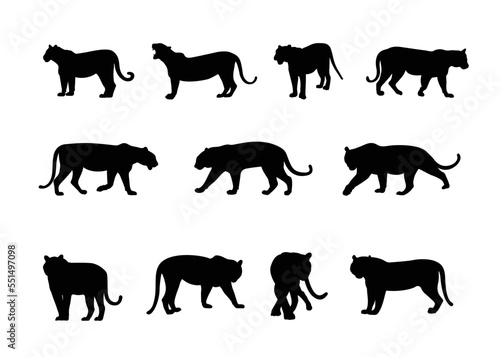Set of stylized silhouettes of different poses tigers. Isolated on white background. Tiger logo designs set. Symbol  Vector.
