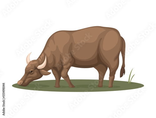 Farm Buffalo drink water on swamp. rural animal life illustration vector