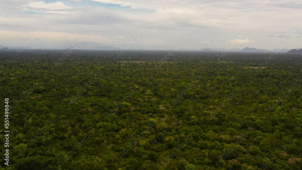 Top view of the rainforest and jungle in Sri Lanka. Top view of the rainforest and jungle in Sri Lanka.