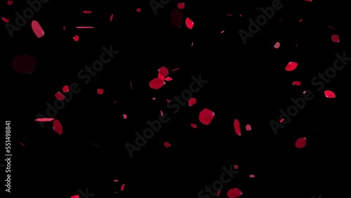 回転して舞い落ちる赤いバラの花びら