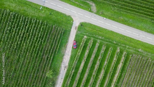 Left rotation top aerial drone view of a red sedan car parked near a road in the vineyards, at the entrance to Guebwiller (Florival valley, Upper-Rhine, Alsace, France) in summer, with a bike passing photo