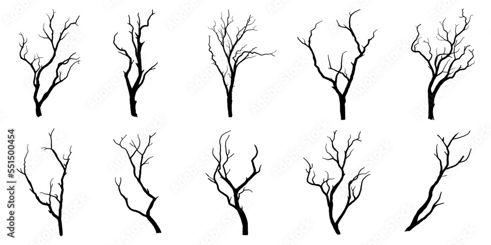 Obraz premium branches silhouette