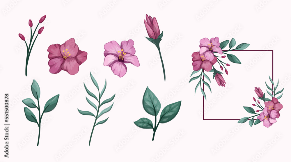 set of flowers illustration vector