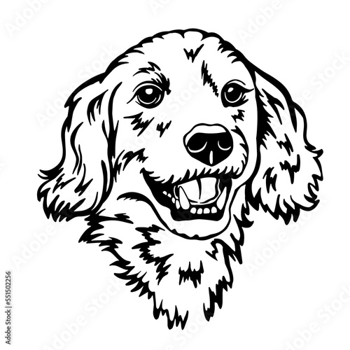 Scottish setter spaniel portrait, muzzle face. Silhouette. Line art. Template. Close-up. Clip art. Hand Painting. Ink. Black and white. laser cut, papercut, silhouette stencil cameo cricut