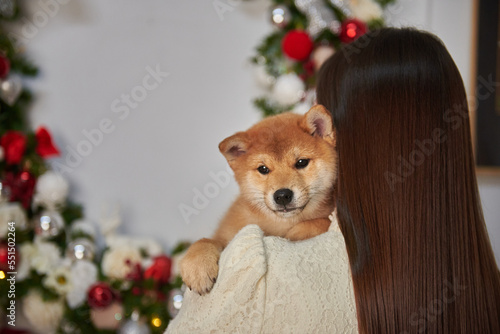 Obraz na płótnie Woman holding Shiba Inu puppy in her arms, New Year and Christmas gift w salonie