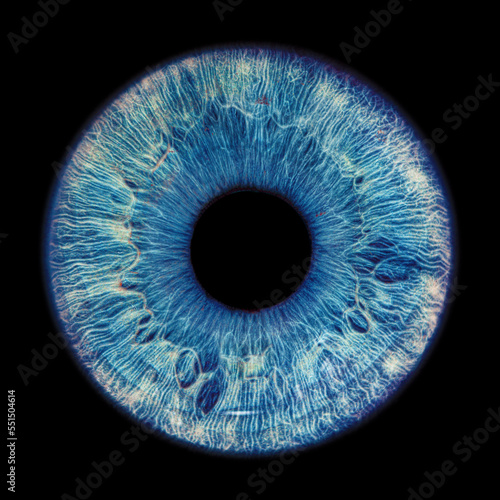Fototapeta Blue eye iris - human eye