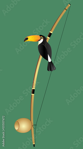 Berimbau and toucan