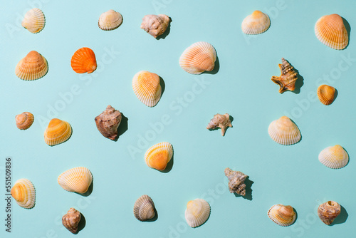 Many small seashells on a blue background. Marine background.