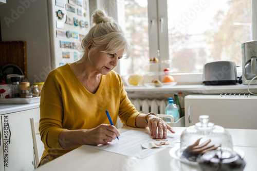 Senior woman filling out financial statements
 photo