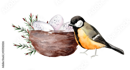 Titmouse on a nest with eggs. Birds in the wild. Watercolor illustration for postcards © Tatyana Sidorova
