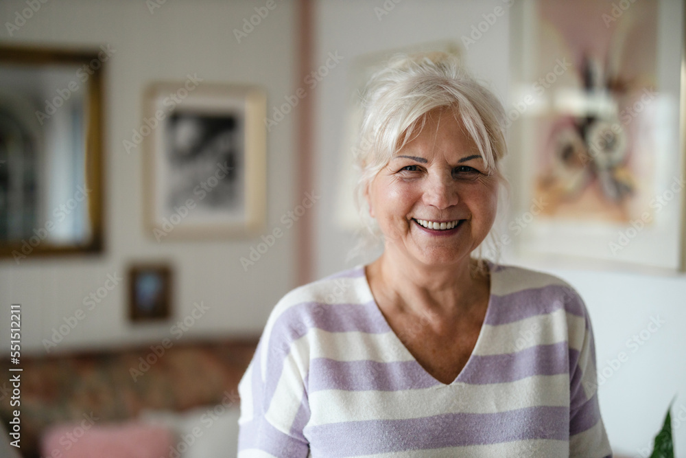 Portrait of a senior woman in her home
Portrait of a senior woman in her home