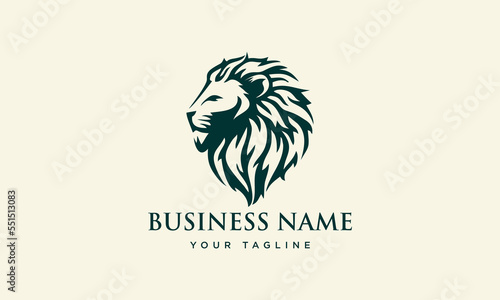 hand drawn lion head logo