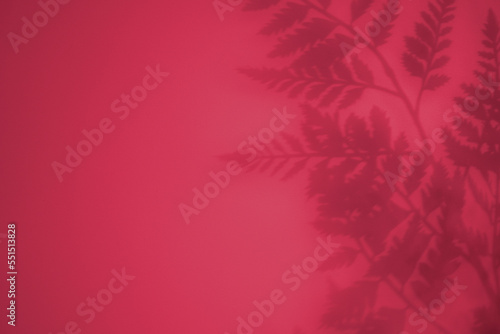 Beautiful shadow from tropical palm leaf, concept color of the year 2023.