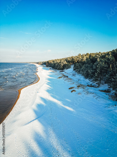 Aerial view on beautiful Baltic sea shore by the pine forest in winter season, winter landscape