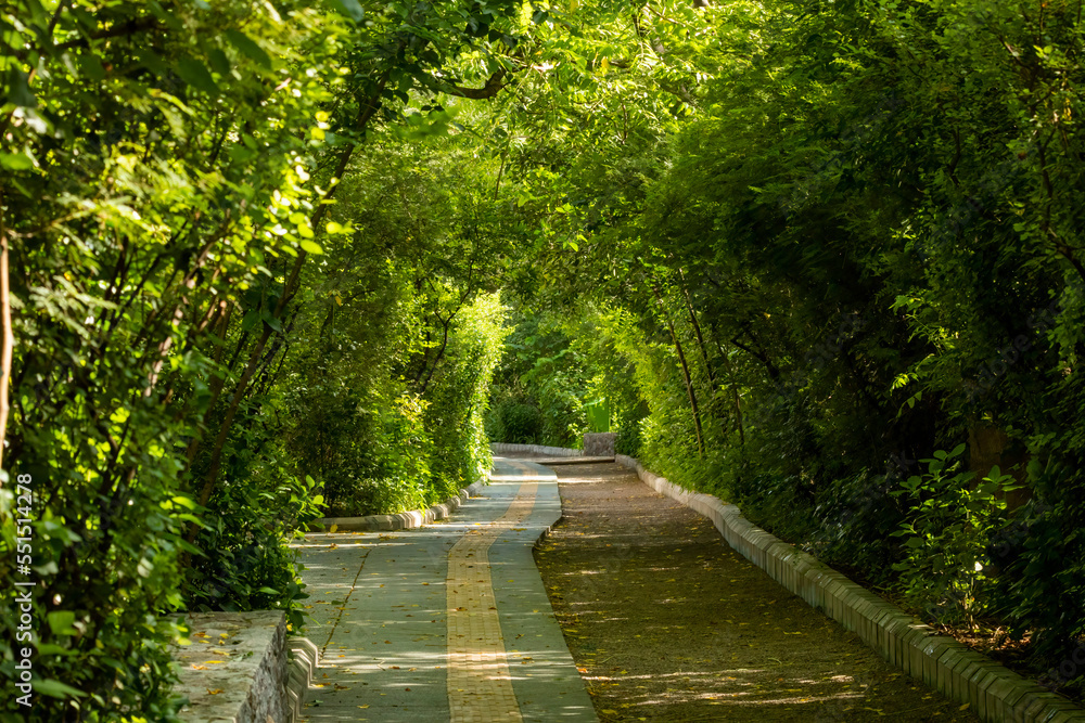 Fototapeta premium Views of the Gurgaon eco path