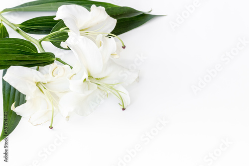 Branch of white lilies as symbol of the funeral. Mourning concept