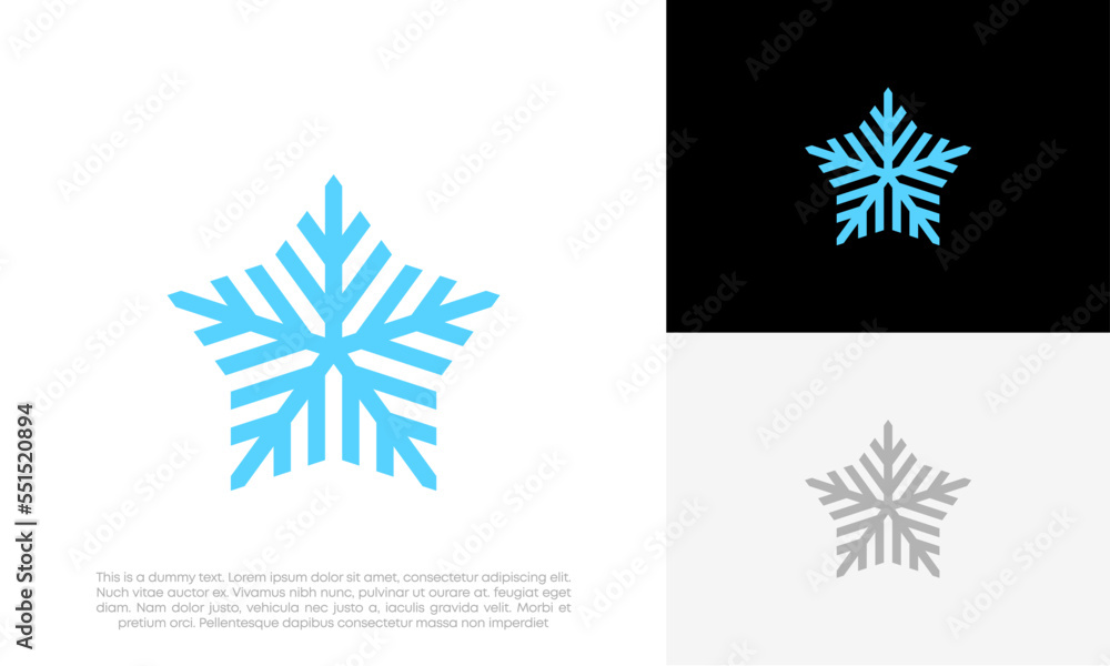 star with snowflake logo design vector star with snowflake logo design vector