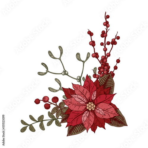 Christmas botany composition with poinsettia flower and mistletoe. Vector illustration in sketch style isolated on white background