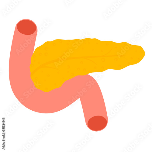 Human pancreas vector illustration on white background. Body organ symbol cartoon design.