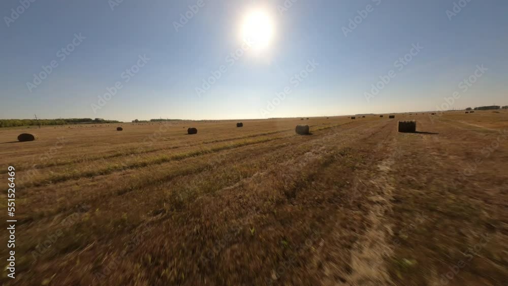 Aerial FPV drone view of hay bale on field Field with hay and haystack. Hay stack for agriculture in farm field. Hayrolls after combine harvester. Haystacks making for silage. Farmland landscape. Aerial FPV drone view of hay bale on field Field with hay and haystack. Hay stack for agriculture in farm field. Hayrolls after combine harvester. Haystacks making for silage. Farmland landscape.
