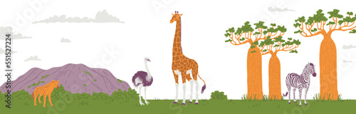 Obraz na plátně African nature banner with giraffe and ostrich among baobabs, flat vector