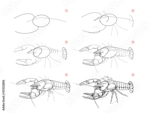 Page shows how to learn to draw sketch of crayfish. Creation step by step pencil drawing. Educational page for artists. Textbook for developing artistic skills. Online education. Vector image.