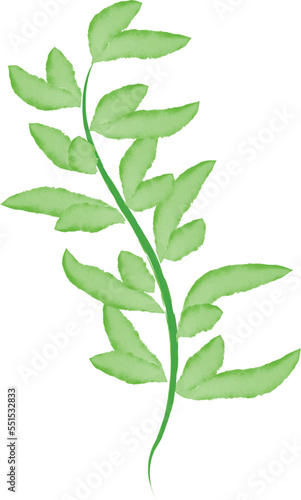 A hand-drawn branch of oleander with leaves