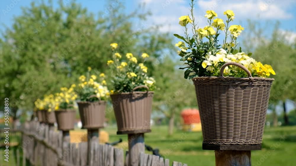 Mini flower beds on the fence. Selective focus. Mini flower beds on the fence. Selective focus.