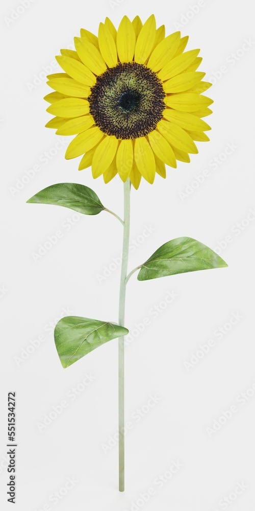 Naklejka premium Realistic 3D Render of Sunflower