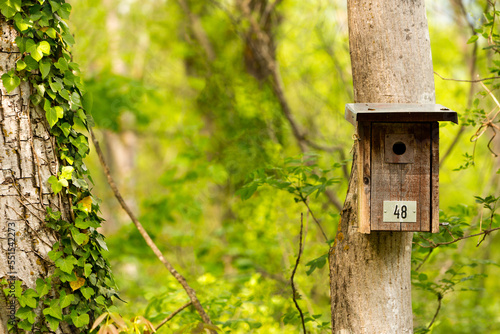 Foto Birdhouse in the forest