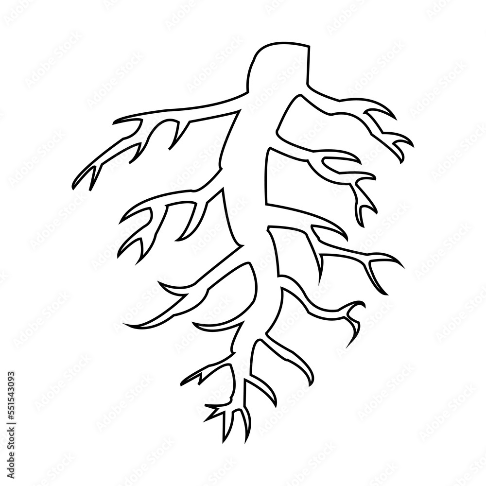 root icon design vector root icon design vector