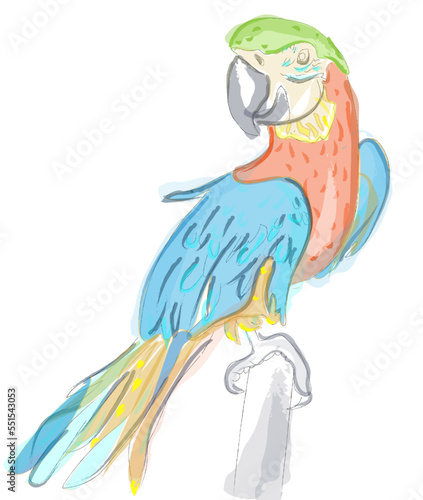 Parrot colorful watercolor vector cartoon character