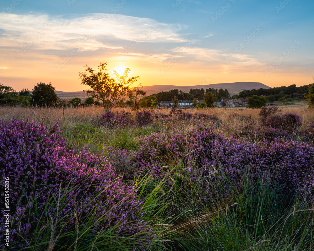 Naklejka premium Harle Syke Sunset