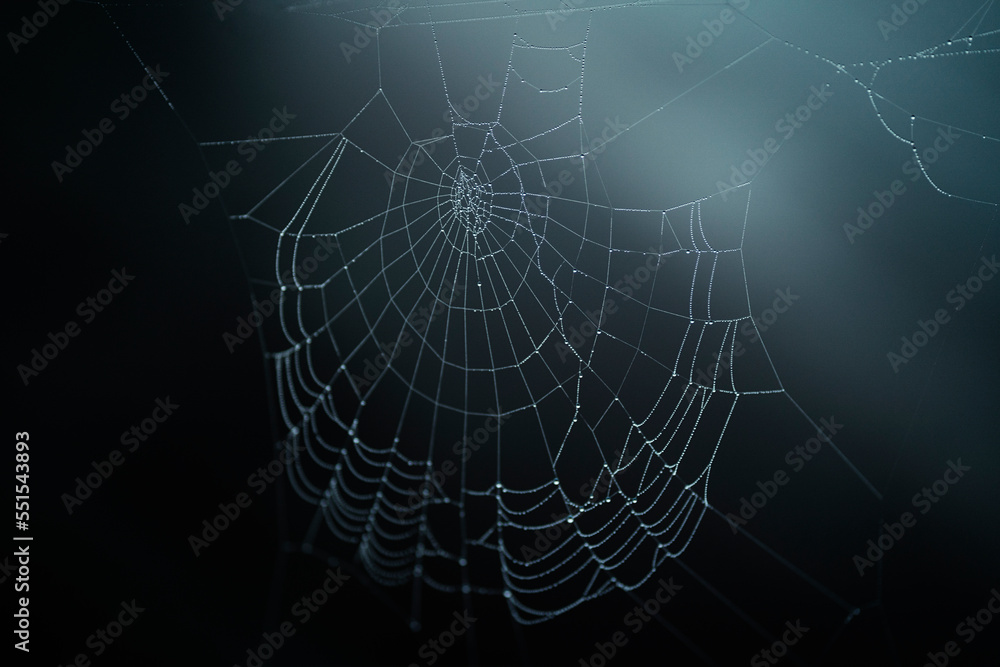 Shiny cobweb in light beam Shiny cobweb in light beam