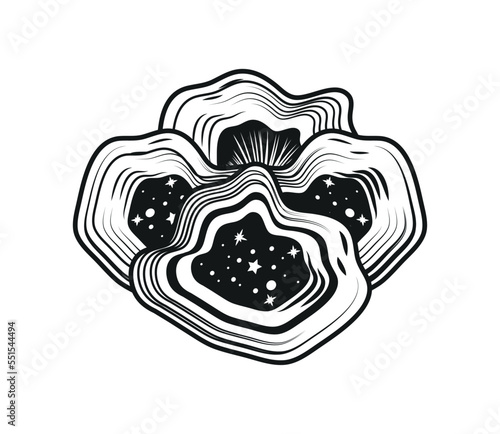 mushrooms boho mystic
