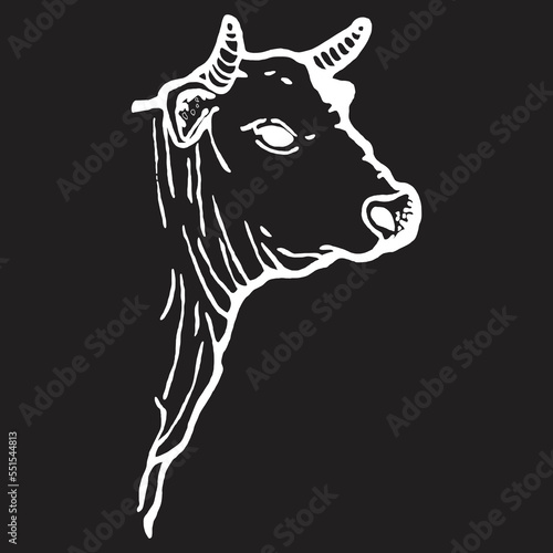 Cow head vector illustration, black background
