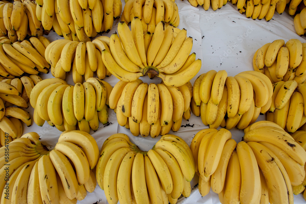 Banana bunches to sale on street market. Sao Paulo, Brazil