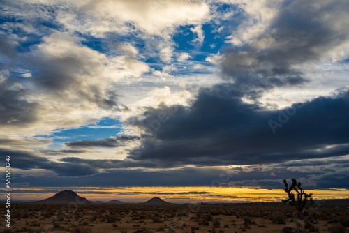  A Sunrise Serenade Over the Vast Mojave Desert