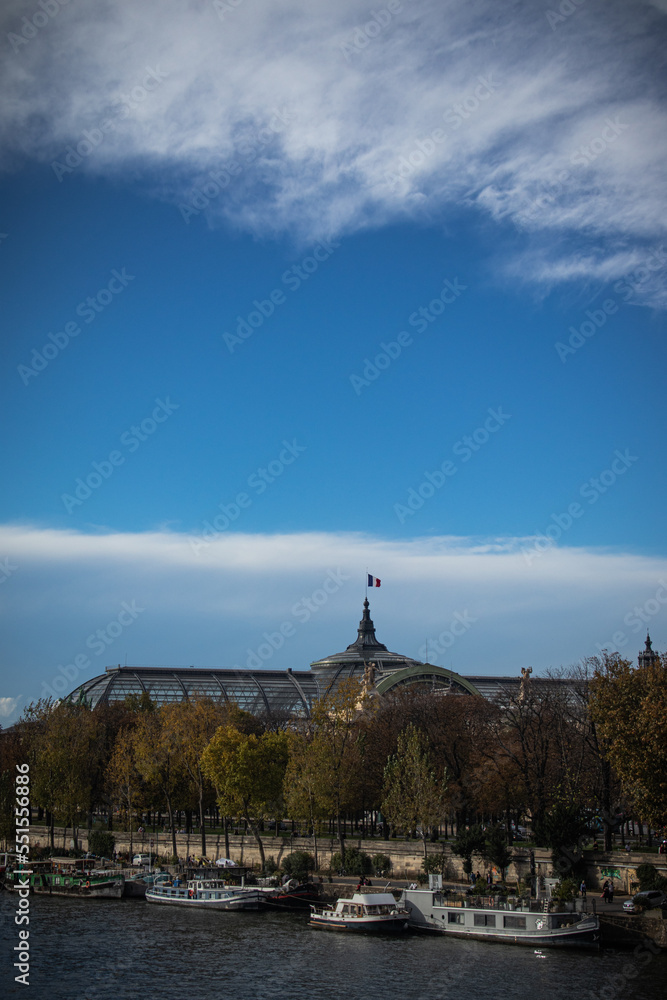 Roof of the Grand Palais in Paris, France in the distance