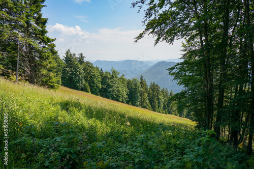 Idyllic scenery in the austrian mountains at Mount Unterberg in Lower Austria, near Muggendorf in Austria. photo