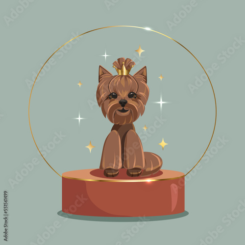 Cute dog yorkshire terrier on pedestal