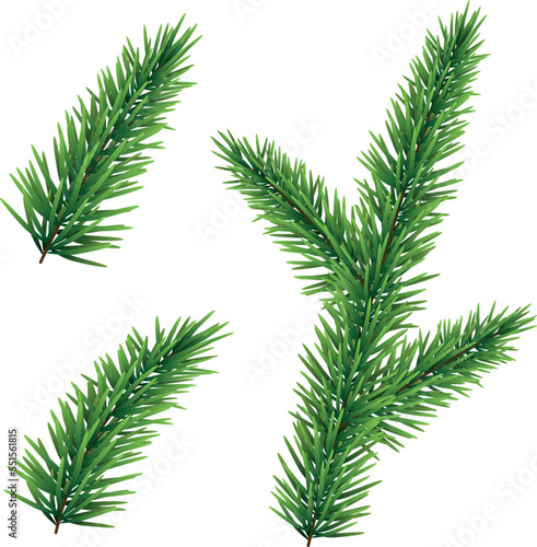Set of green spruce Christmas tree branches isolated on white background