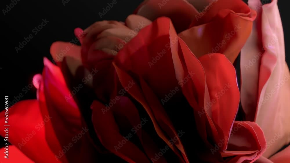 Layers of red fabric smoothly moving on a black background, resembling the shape of a flower, abstract futuristic animation of photorealistic textile, 3D rendering of flowing delicate silk, 4K Layers of red fabric smoothly moving on a black background, resembling the shape of a flower, abstract futuristic animation of photorealistic textile, 3D rendering of flowing delicate silk, 4K