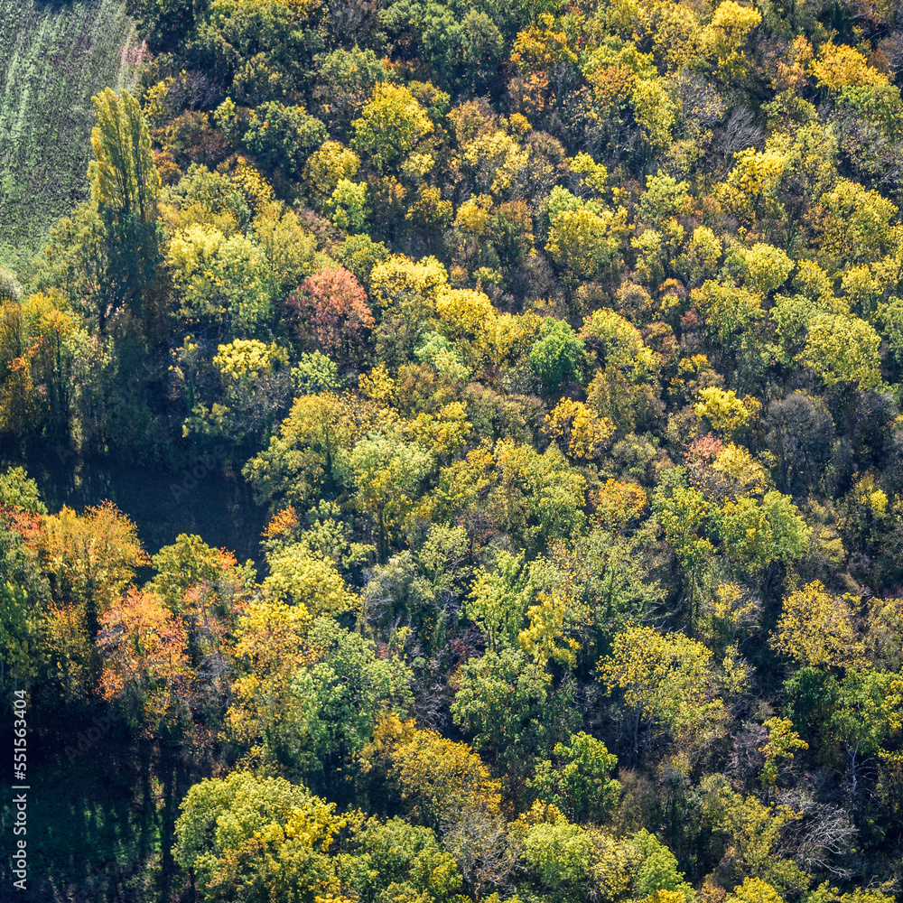 vue aérienne de la forêt à l'automne à Guerville dans les Yvelines en France