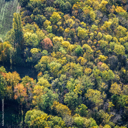 vue aérienne de la forêt à l'automne à Guerville dans les Yvelines en France