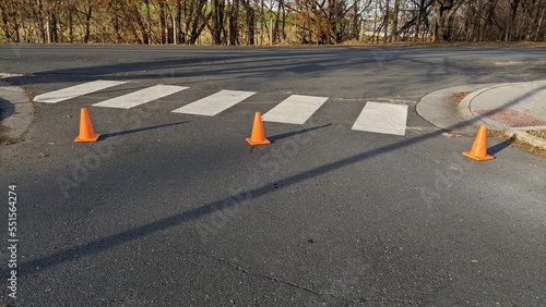 Canvas-taulu Traffic cones in crosswalk blocking entrance