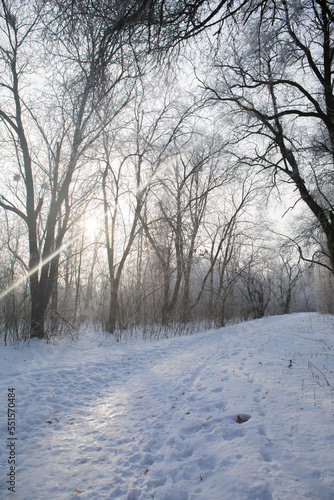A wonderful sunny frosty morning in winter